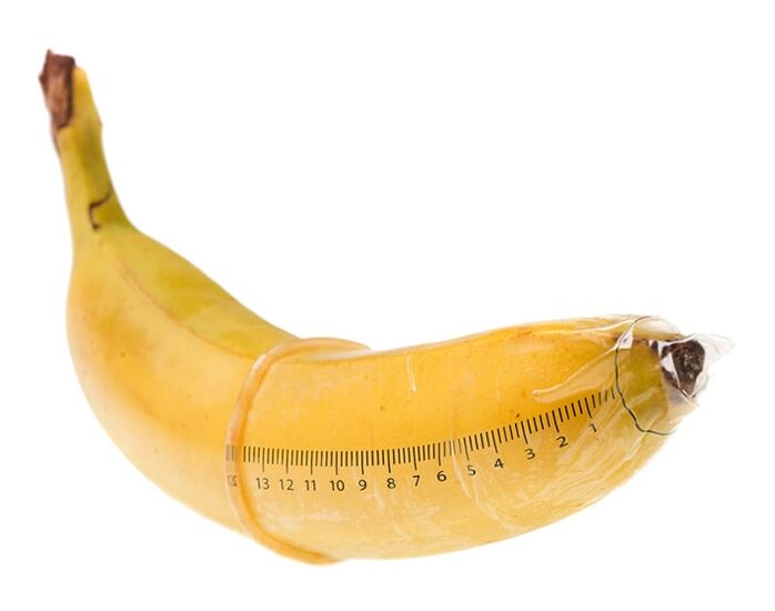 Оптималната големина на пенис во ерекција е 10-16 см